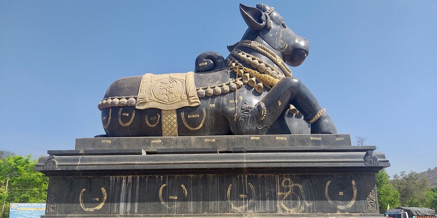 Mahanandi temple is one of the best Ahobilam temples dedicated to lord shiva for all.