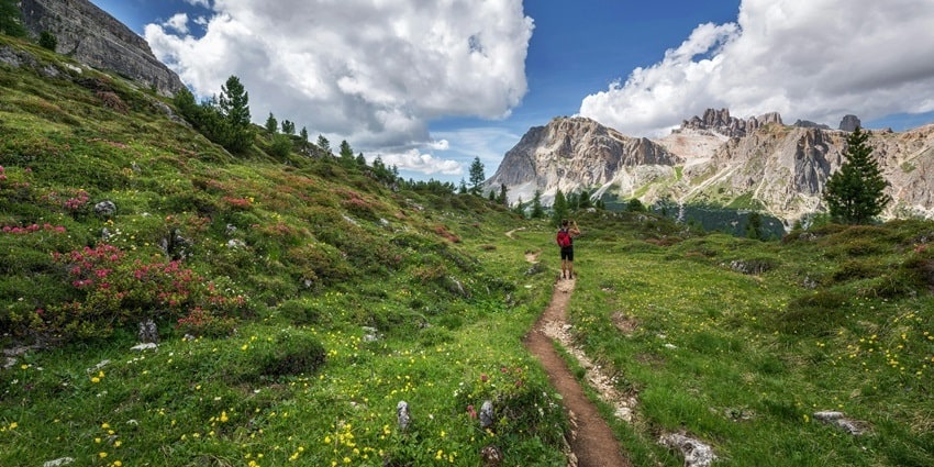 Enchanting view of a tourist walking through the lush meadows adorned by vibrant flowers