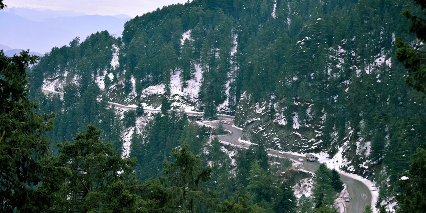 Green trees on mountain under white clouds during daytime