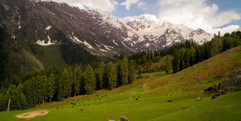 Simbalbara national park is at its utmost beauty during the winter months
