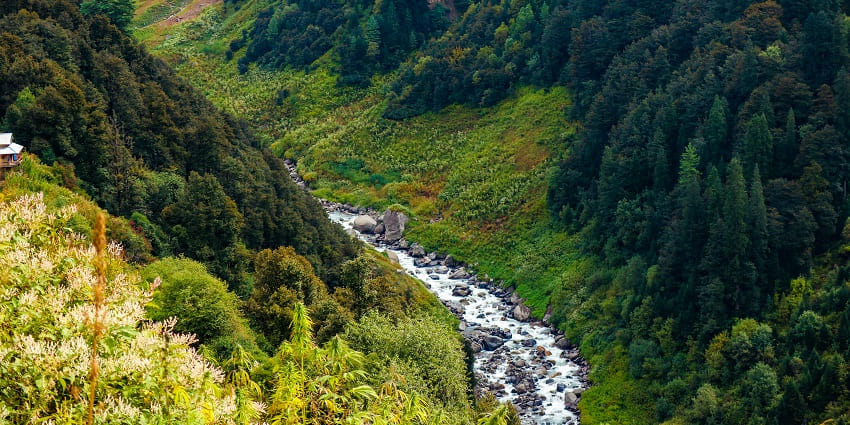 An aerial view of the lush green vegetation and dense forests of Malana, Himachal.