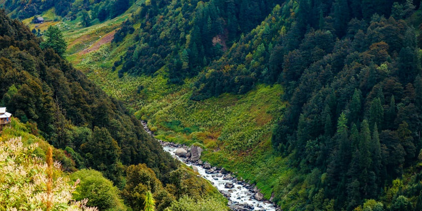 Mesmerising view of river flowing through lush green valleys in Malana, Himachal Pradesh