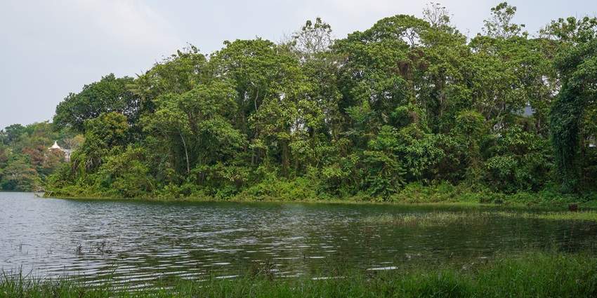 A picture of a reservoir amidst lush greenery, one of the best places to visit near Anachadikuthu Waterfalls