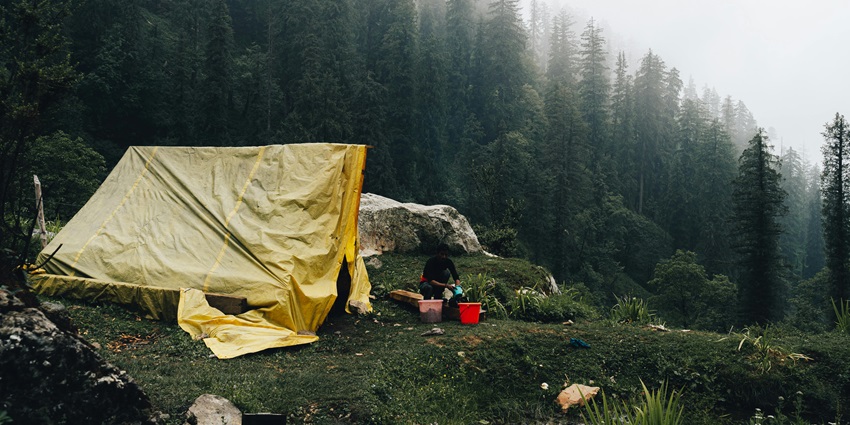 Man camping in a forest, surrounded by tall trees and natural tranquility in Gulmarg.