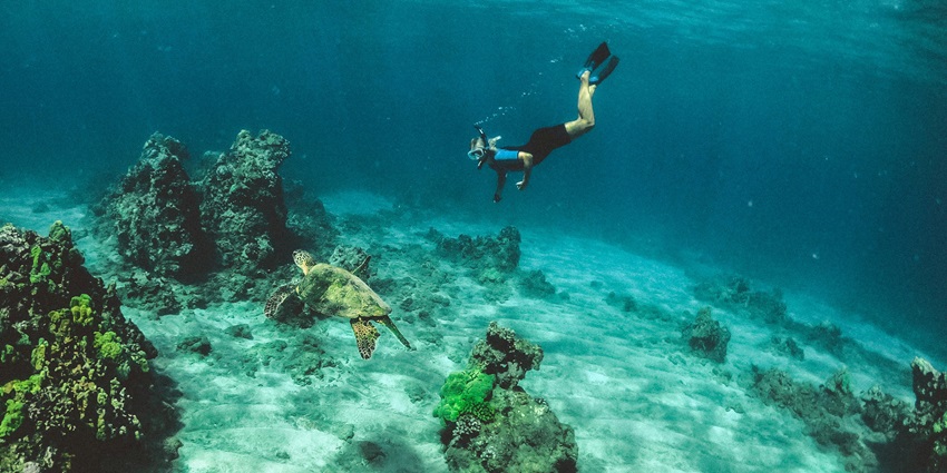 A view of a man swimming besides a sea turtle under the azure waters of the ocean