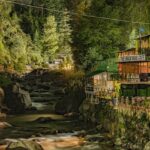 A breathtaking view of a sparkling river flowing through a lush green valley in Manali.