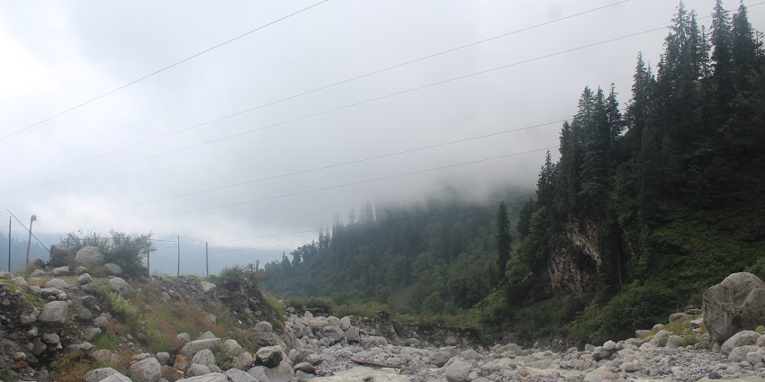 Manali Sanctuary is one of the best places to visit near Manali town for wildlife lovers.