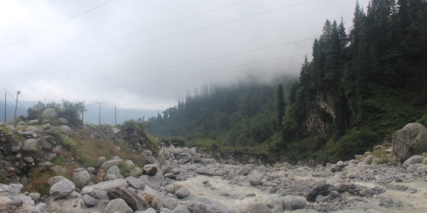 This wildlife sanctuary, a hidden gem, is one of the best things to do in Manali.