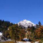 An image of snow-covered mountains and a clear blue sky behind in Himachal Pradesh.