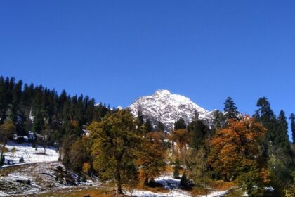 An image of snow-covered mountains and a clear blue sky behind in Himachal Pradesh.