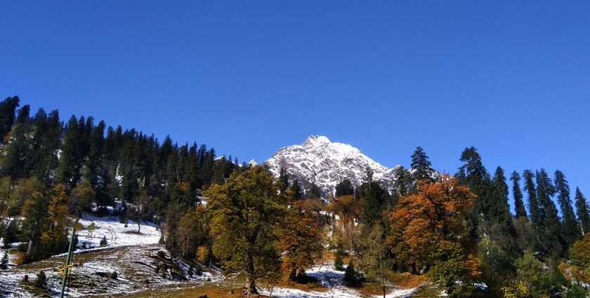 An image of snow-covered mountains and a clear blue sky behind in Himachal Pradesh.