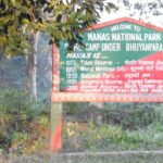 Explore the scenic beauty of The Manas National Park–The Gem of Assam Wildlife