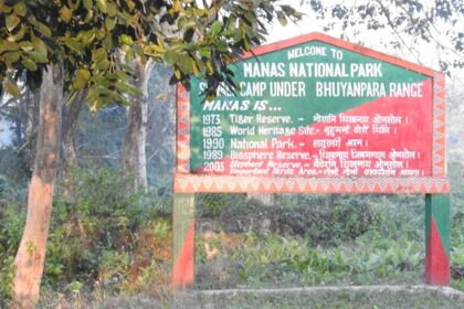 Explore the scenic beauty of The Manas National Park–The Gem of Assam Wildlife