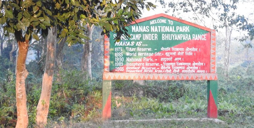 Explore the scenic beauty of The Manas National Park–The Gem of Assam Wildlife