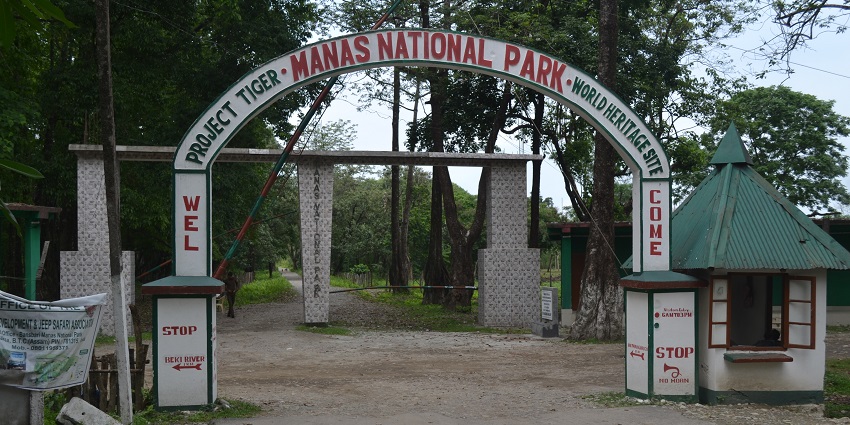 Entry gate of Manas park, explore in the nature - one of the best things to do in Assam