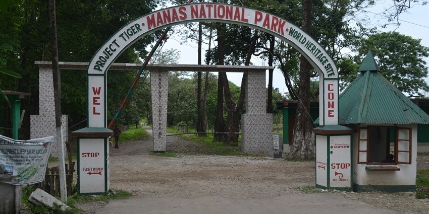 Manas National Park entry gate with design elements, welcoming visitors to the park.