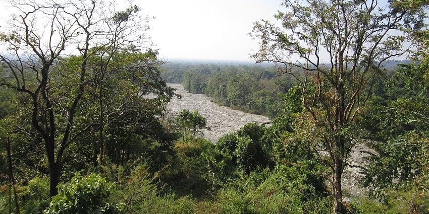 Manas National Park is one of the best wildlife sanctuaries in Assam for travellers.