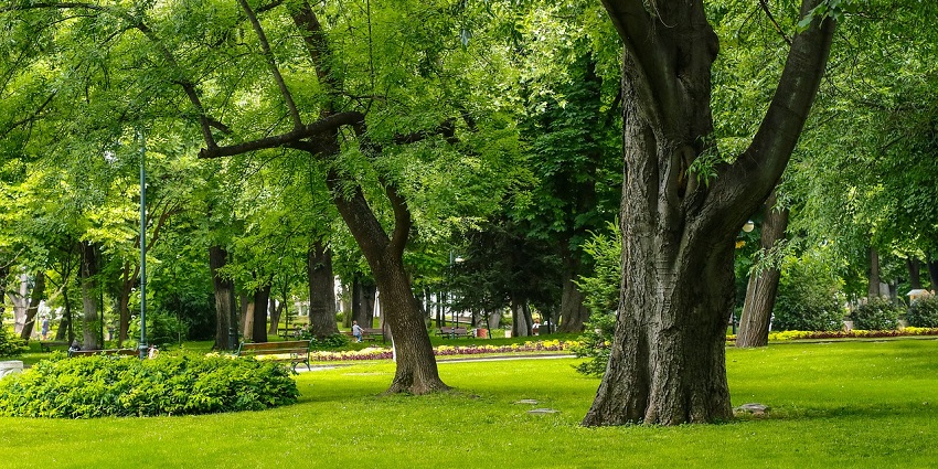 Mandvya Nature Park is a must-visit attraction near Rewalsar Monastery to relax.