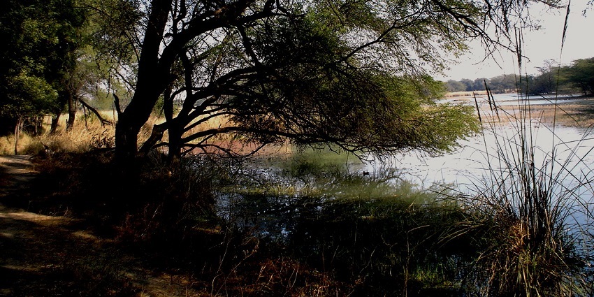 This is one of the must visit tourist places near Delhi for your next Summer escape