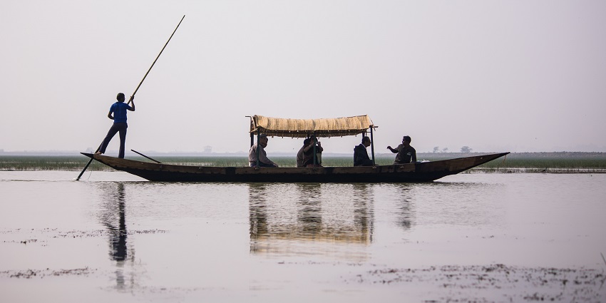Mangalajodi Wetland is the best place to witness spectacular bird life in the state.