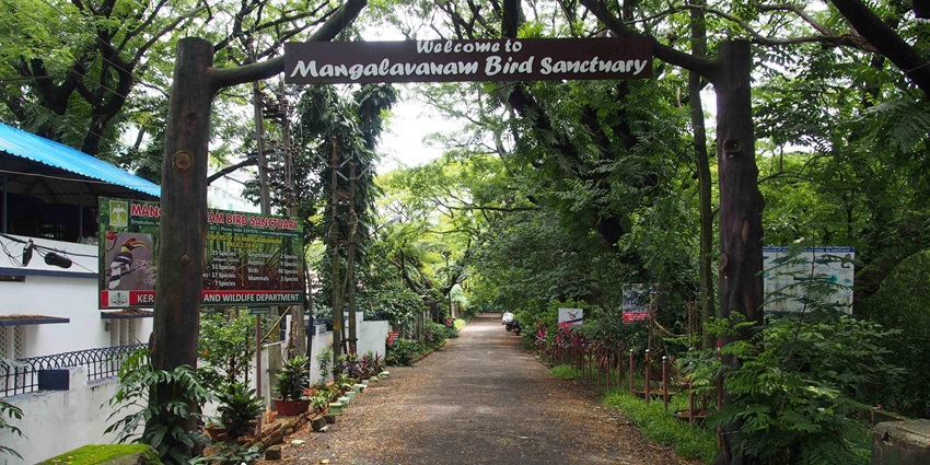 The entry gate of a bird sanctuary on a street with trees on both sides