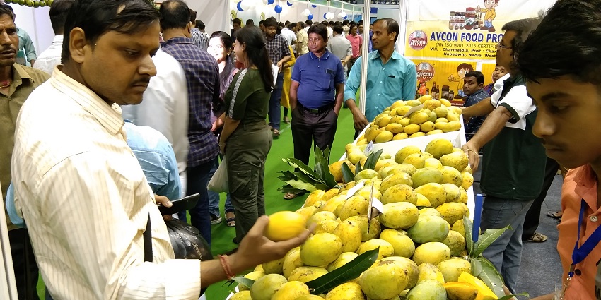 Visitors enjoying the Mango Festival in West Bengal, surrounded by colourful mango displays.