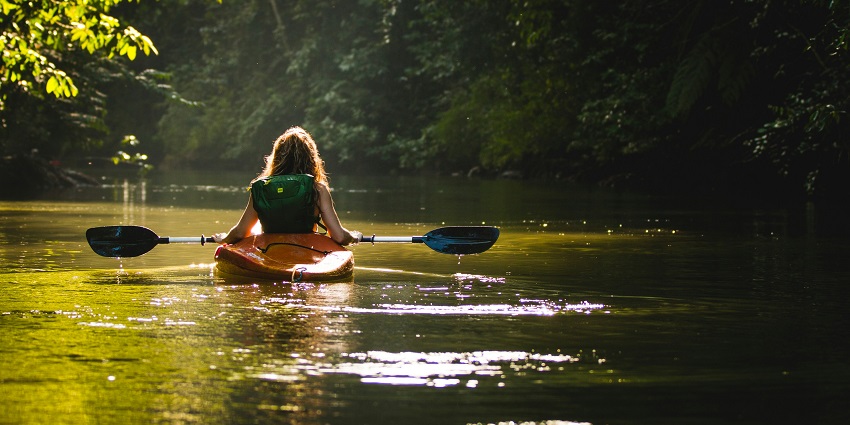 Enjoy the thrilling activities at Mangrove Channels known for kayaking in Phuket.