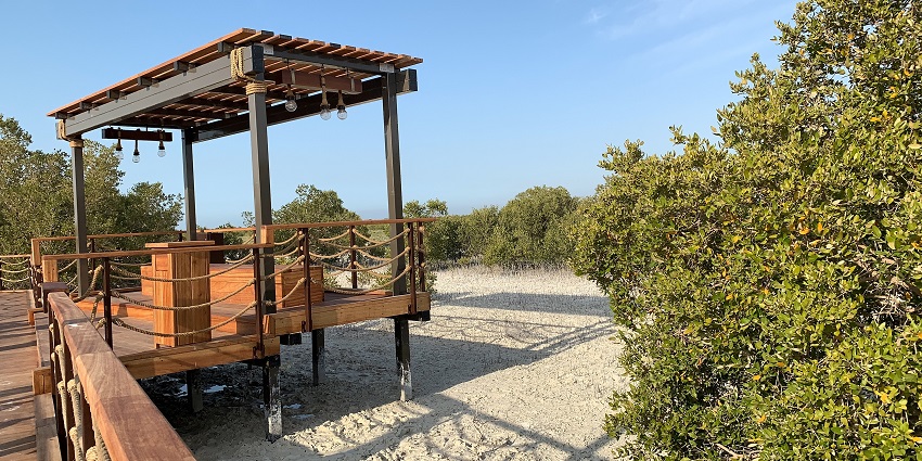 Witness the diverse flora and fauna on your trip to Mangrove National Park, Abu Dhabi.