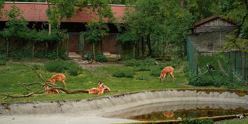 Manipur Zoological Gardens is a popular tourist spot for its diverse flora and fauna.