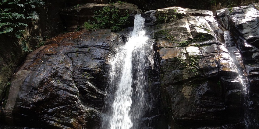 Powerful cascade of Mankayam Waterfalls plunging through lush green forest in Kerala.