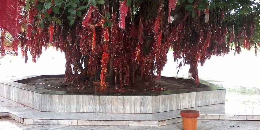 Offer prayers at Mansa Devi Temple, one of the things to Do in Parwanoo, Himachal Pradesh.
