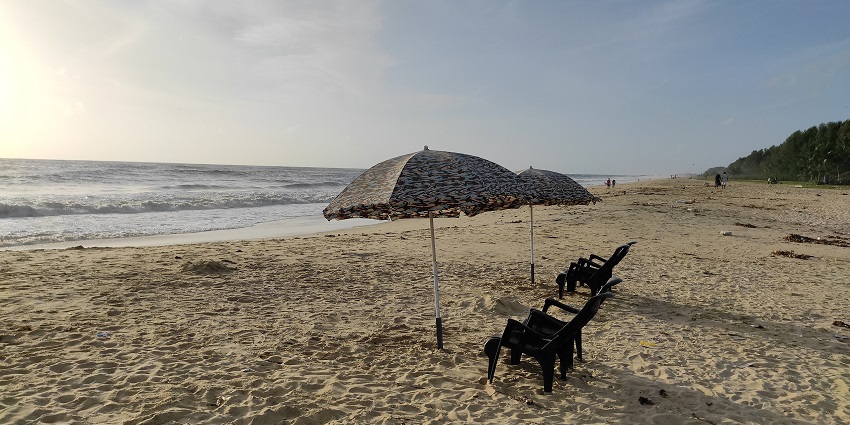 Peaceful Marari Beach in Kerala with palm trees, soft sand, and gentle sea waves.