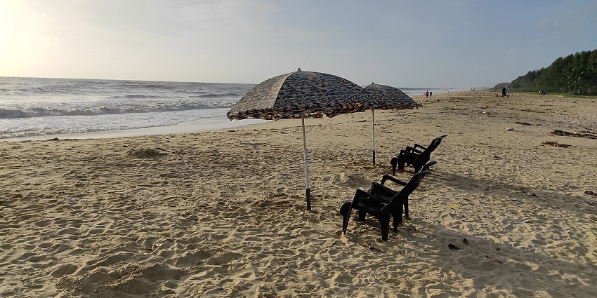 Peaceful Marari Beach in Kerala with palm trees, soft sand, and gentle sea waves.
