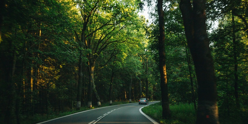 The location of Kothapalli Waterfalls is known for its lush greenery and clear streams.
