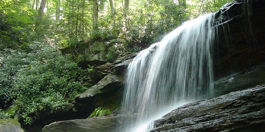 A picture of a waterfall with water cascading down a rocky hill, surrounded by greenery