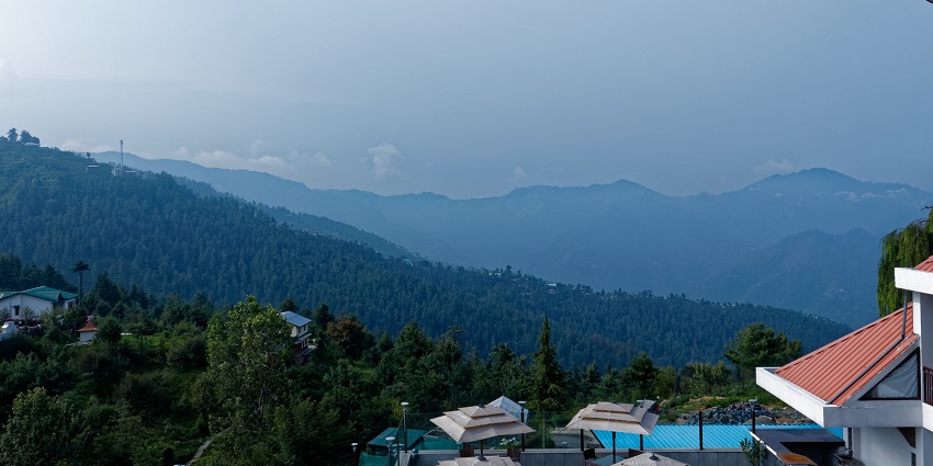 Mashobra is a scenic hill station near Kasauli that has apple orchards and dense forests