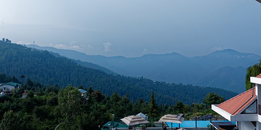 Scenic view of lush green hills and trees in Mashobra - Hill Stations Near Shimla.