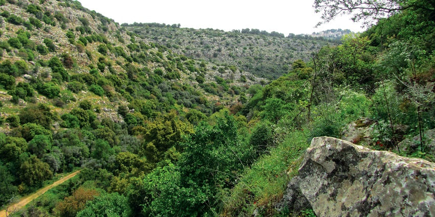Mathura is one of the top places to visit near Delhi by car for people seeking serenity.