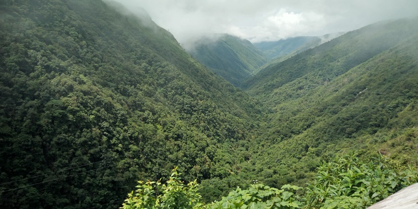 Mawkdok Dympep Valley receives a large amount of rainfall and turns lush green afterwards