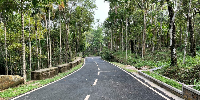 A stunning view of a narrow road passing through a lush green forest in Mawlynnong.