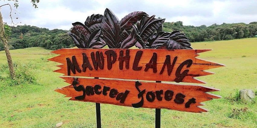 A picture of a board on the way to Mawphlang Sacred Forest, a picnic spot in Shillong.