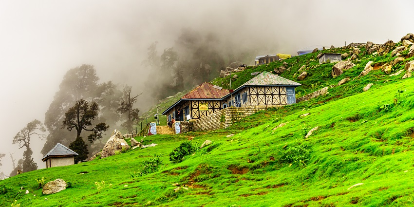 Scenic view of McLeod Ganj, Himachal Pradesh, with lush greenery and mountains.