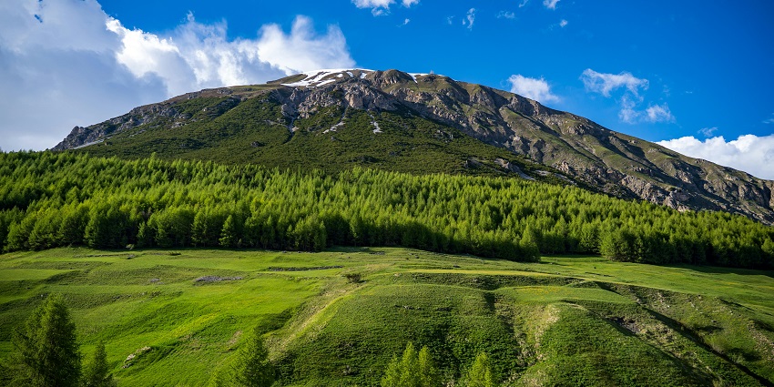 An idyllic view of meadows covered in lush green grass amidst a beautiful mountain
