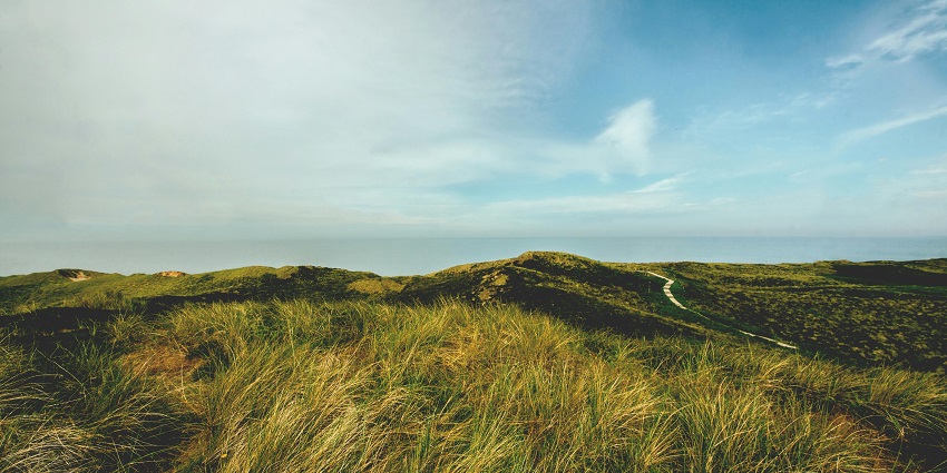 Beautiful image of a green grassland covered in the vegetation under a sunny day