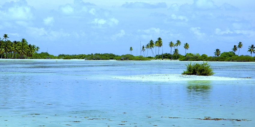 A picture of the vast blue waters around the Addu Atoll region of Maldives with a few pine trees in sight
