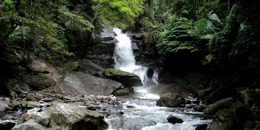 A scenic view of the cascading Meenvallam Waterfalls surrounded by lush greenery.
