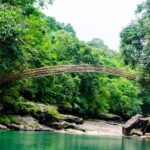 Image of bamboo bridge made by local tribes in Meghalaya - places to visit in Mawsynram