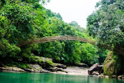 Image of bamboo bridge made by local tribes in Meghalaya - places to visit in Mawsynram