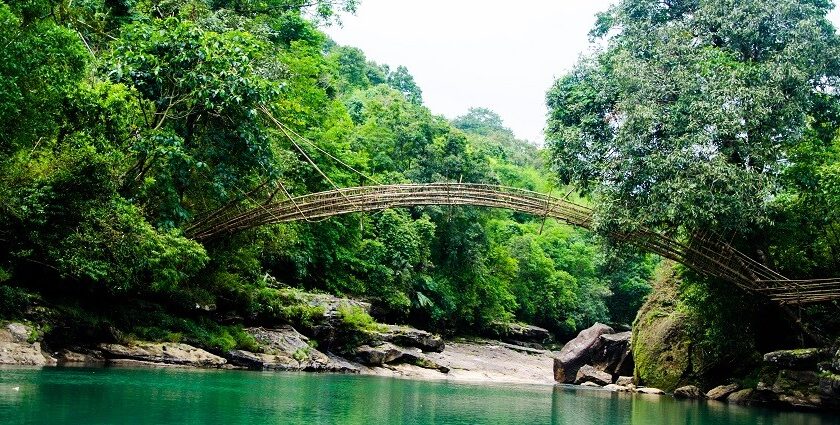 Image of bamboo bridge made by local tribes in Meghalaya - places to visit in Mawsynram