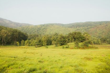 A breathtaking view of a lush green grassland with a stream of water flowing in between.